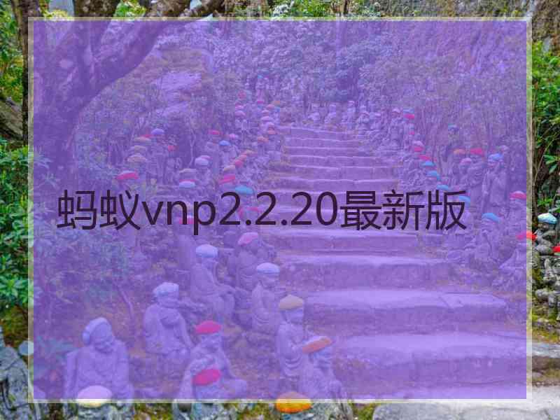 蚂蚁vnp2.2.20最新版 蚂蚁vnp2.2.20最新版