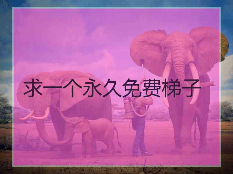 求一个永久免费梯子 求一个永久免费梯子