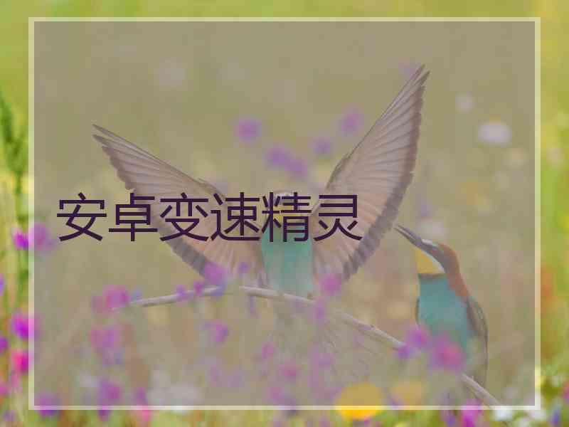 安卓变速精灵 安卓变速精灵