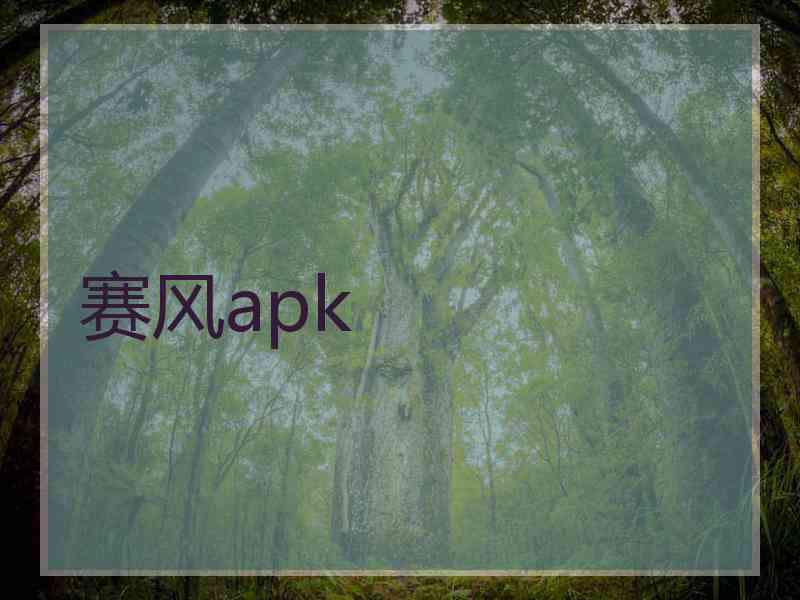 赛风apk 赛风apk