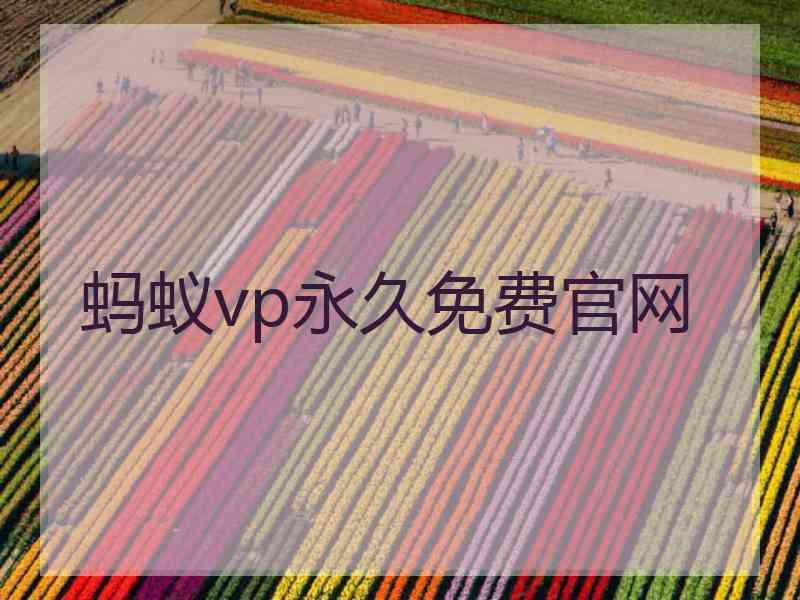 蚂蚁vp永久免费官网 蚂蚁vp永久免费官网