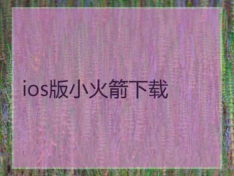 ios版小火箭下载 ios版小火箭下载
