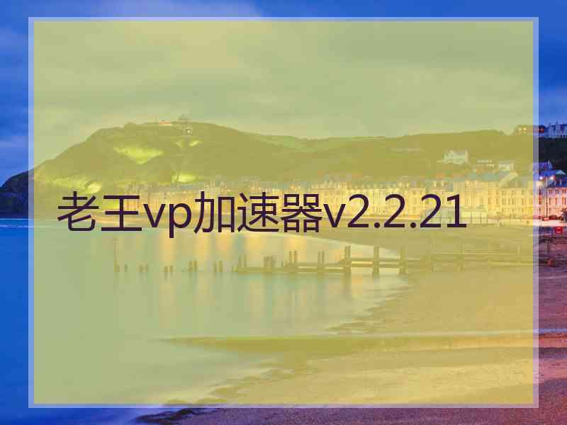 老王vp加速器v2.2.21 老王vp加速器v2.2.21