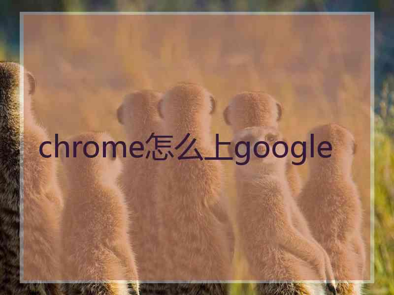 chrome怎么上google
