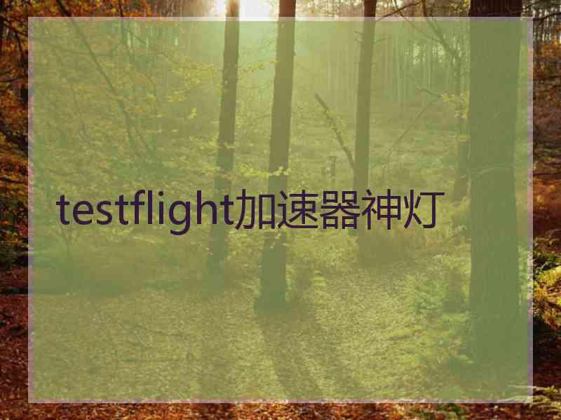 testflight加速器神灯