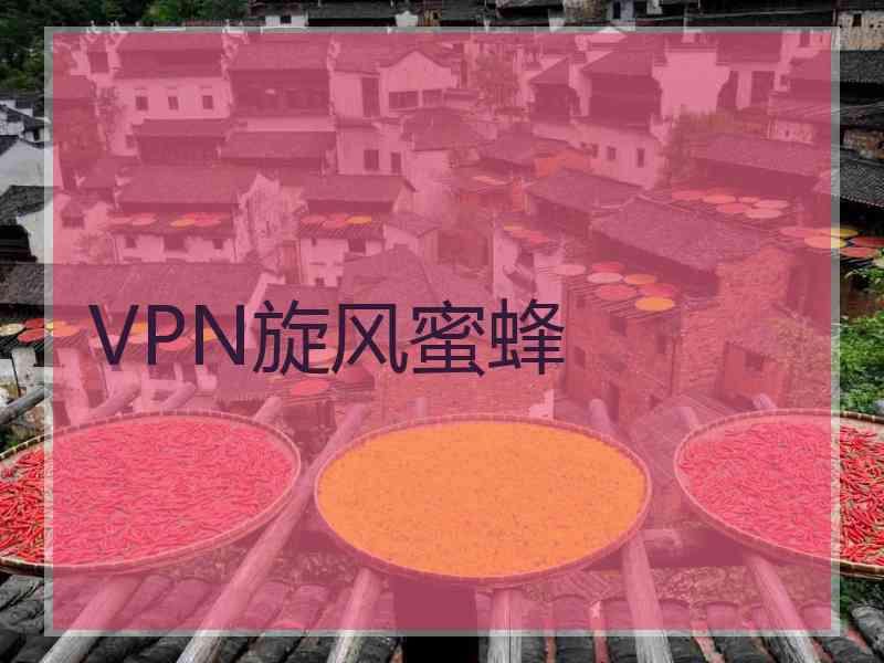 VPN旋风蜜蜂