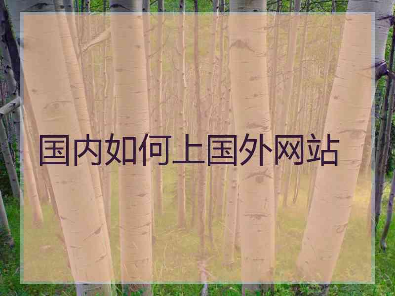 国内如何上国外网站