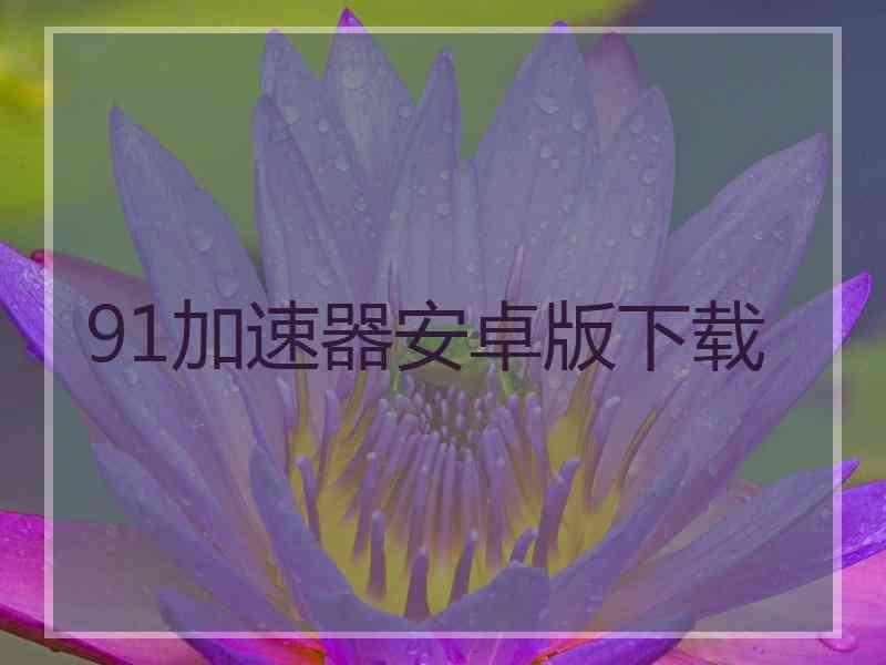 91加速器安卓版下载