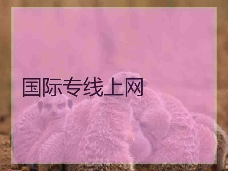 国际专线上网
