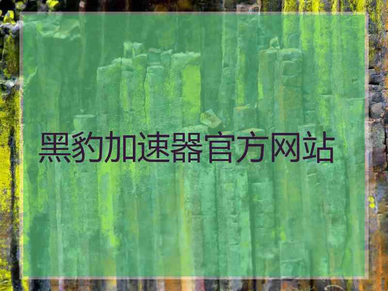 黑豹加速器官方网站
