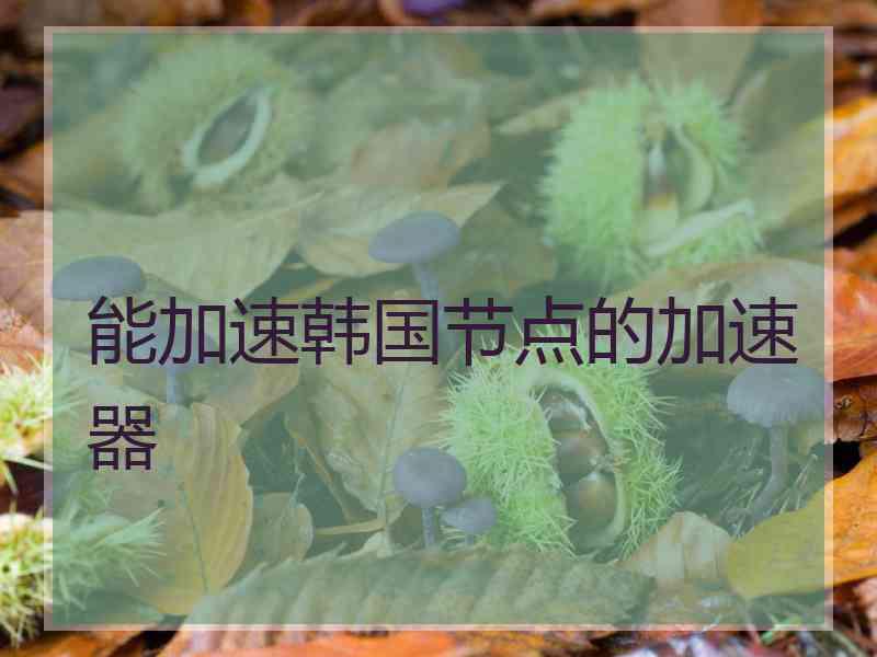 能加速韩国节点的加速器