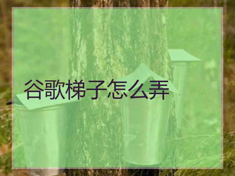 谷歌梯子怎么弄