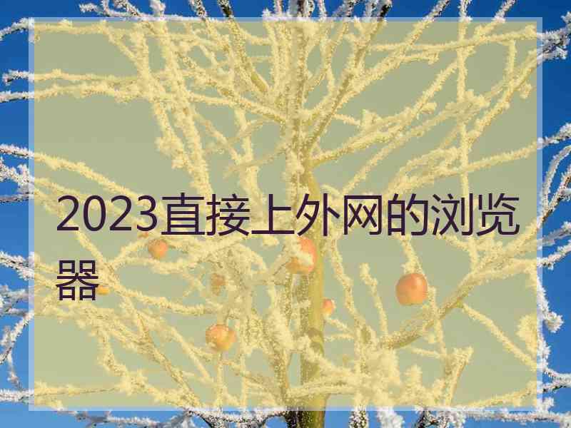 2023直接上外网的浏览器