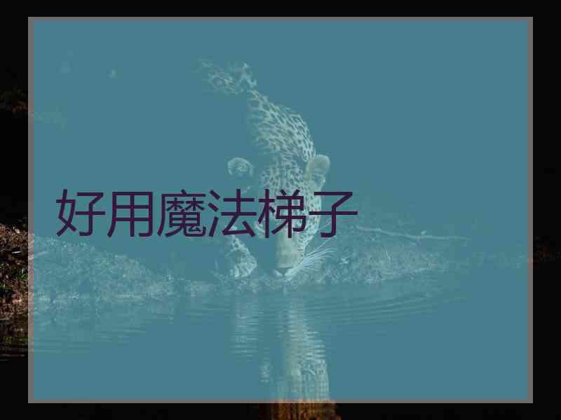 好用魔法梯子