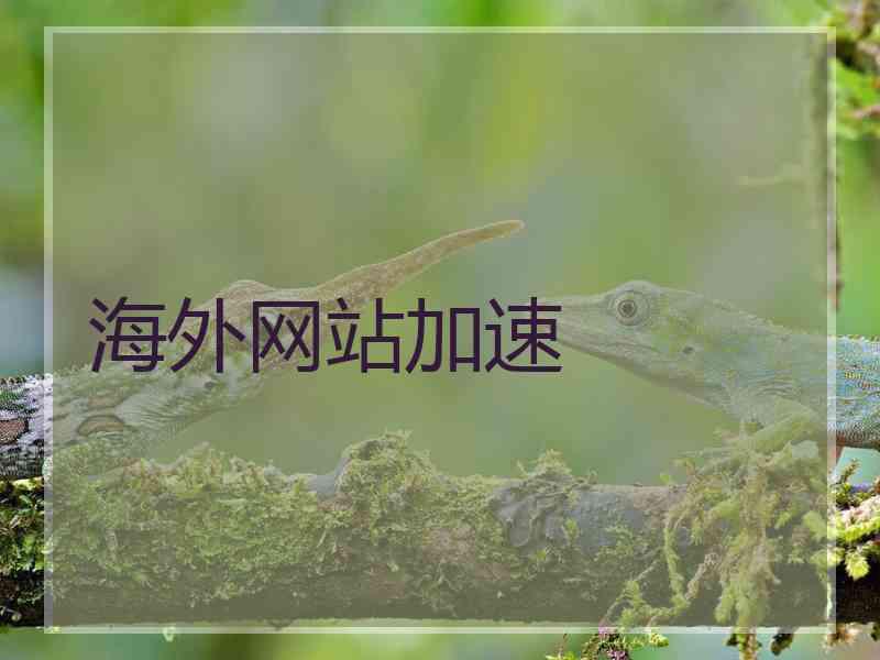 海外网站加速