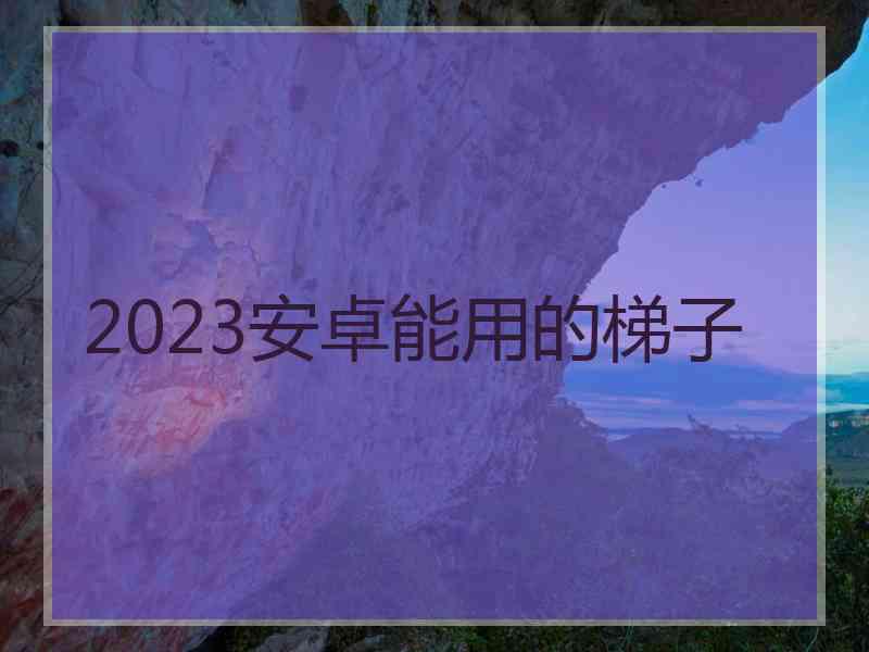 2023安卓能用的梯子