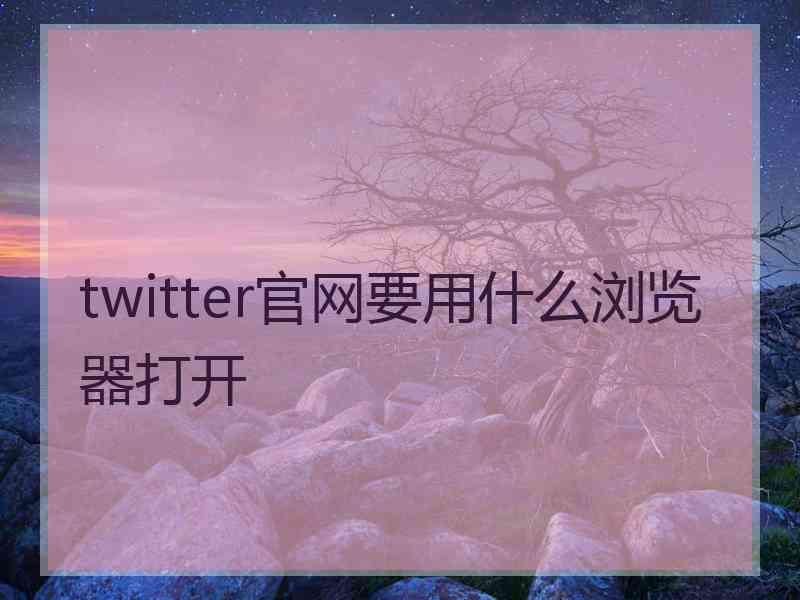twitter官网要用什么浏览器打开