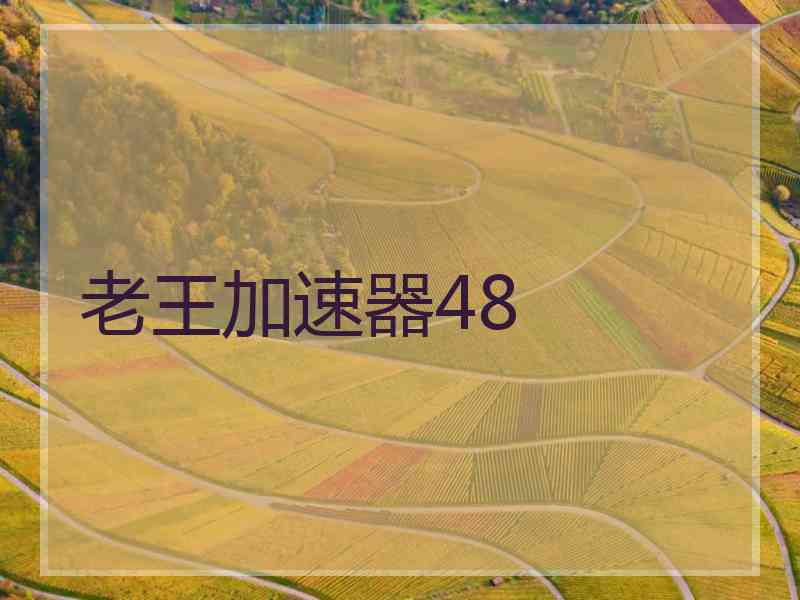老王加速器48