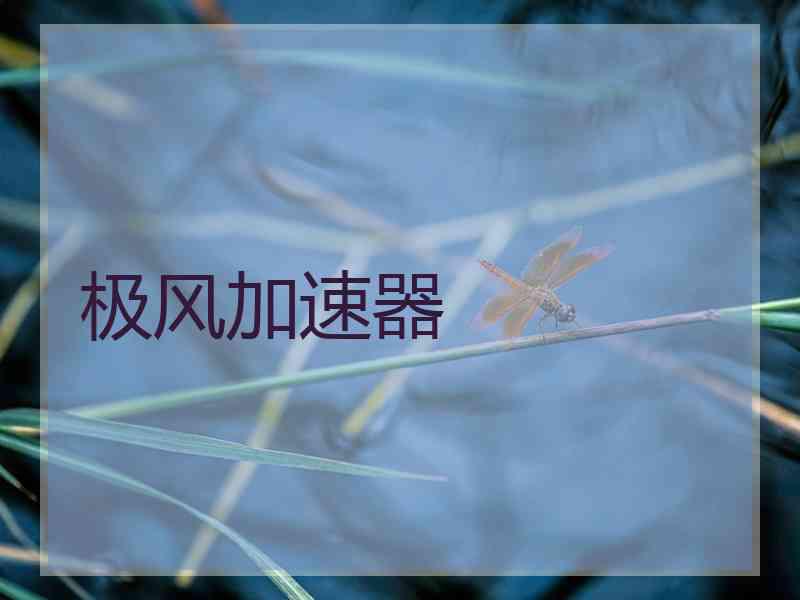 极风加速器