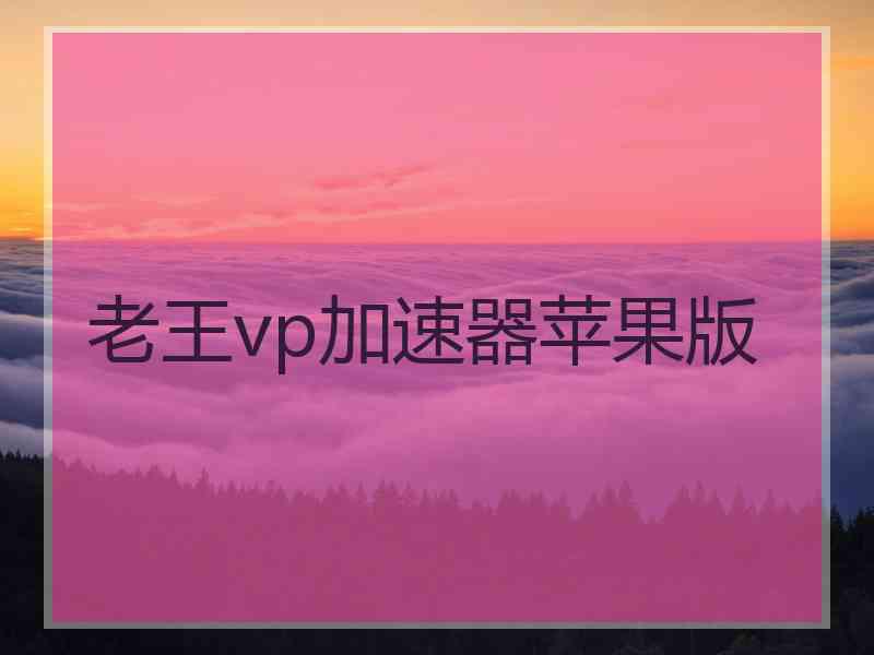 老王vp加速器苹果版
