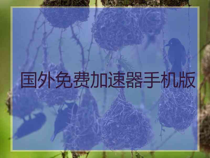 国外免费加速器手机版