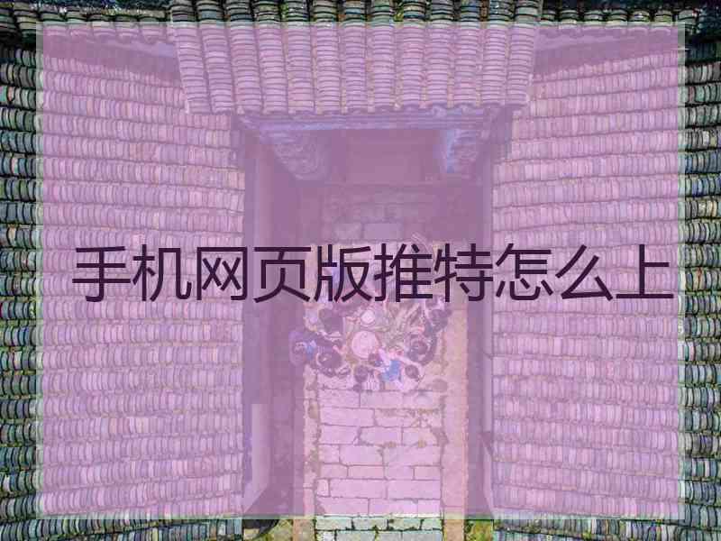 手机网页版推特怎么上