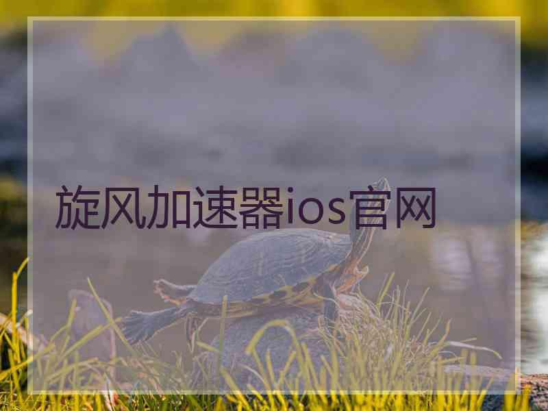旋风加速器ios官网