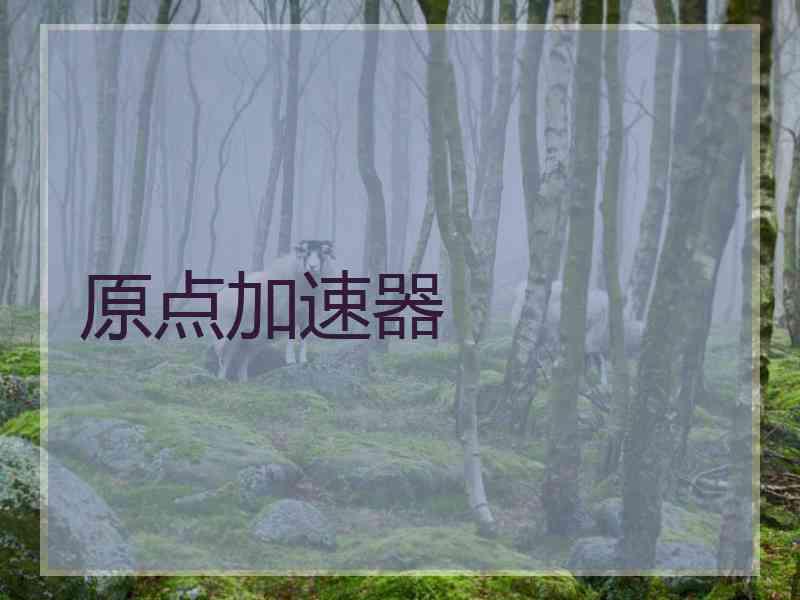 原点加速器