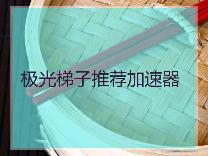 极光梯子推荐加速器