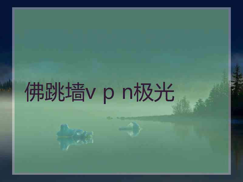 佛跳墙v p n极光