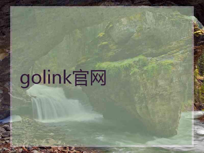 golink官网