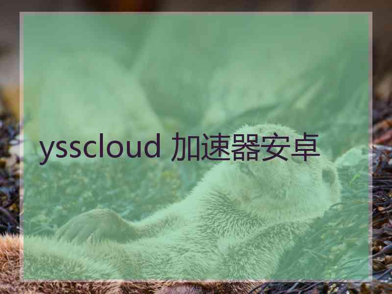 ysscloud 加速器安卓