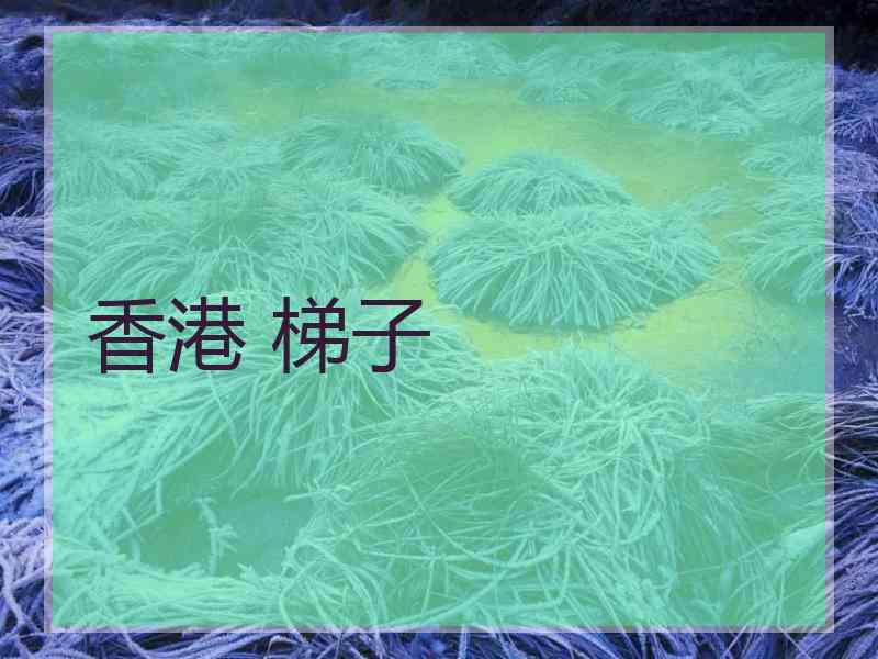 香港 梯子