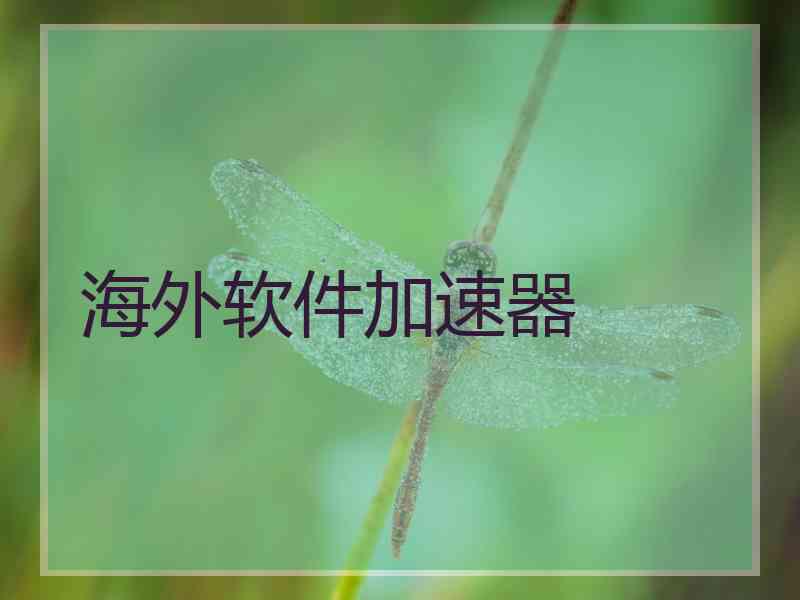 海外软件加速器