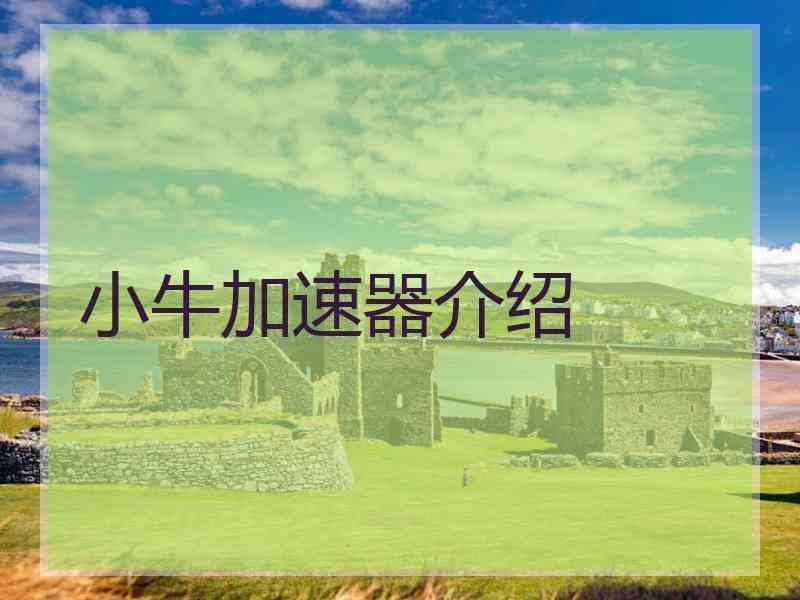 小牛加速器介绍