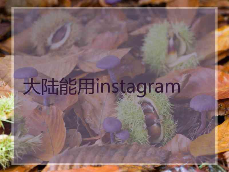 大陆能用instagram