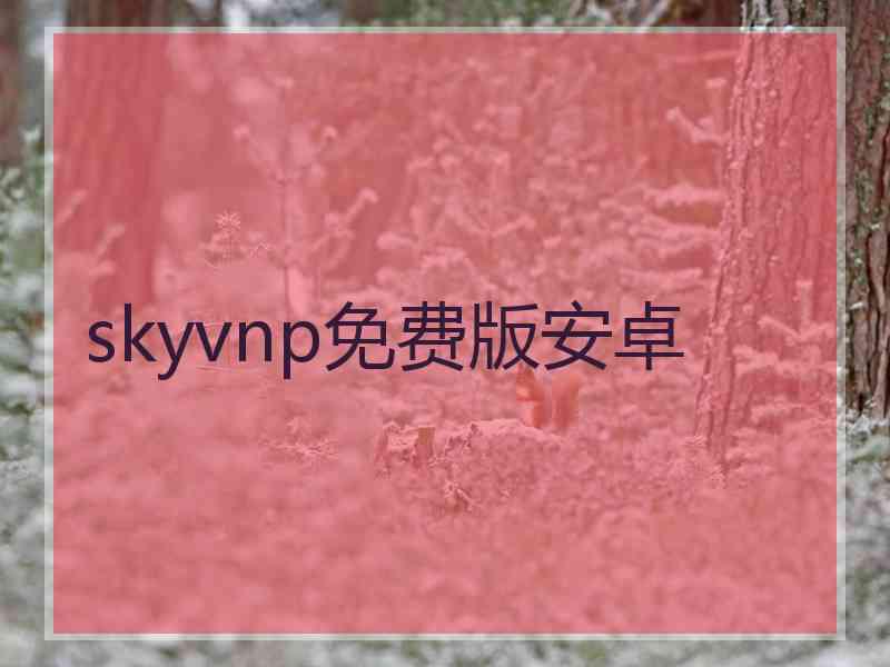 skyvnp免费版安卓