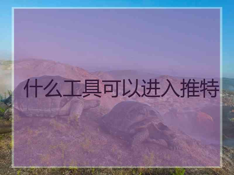 什么工具可以进入推特