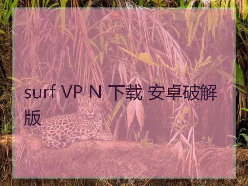 surf VP N 下载 安卓破解版