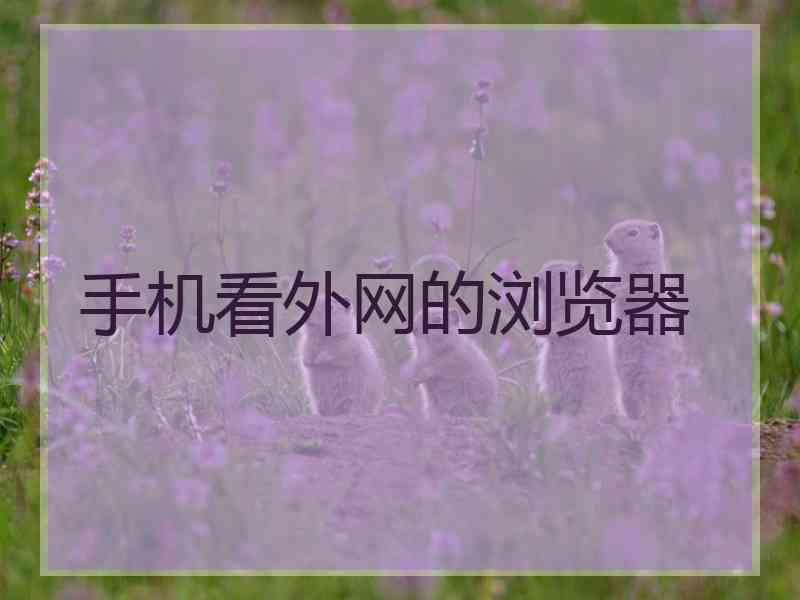 手机看外网的浏览器