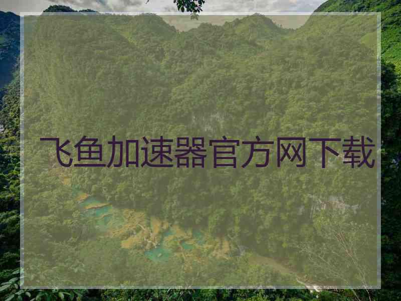 飞鱼加速器官方网下载