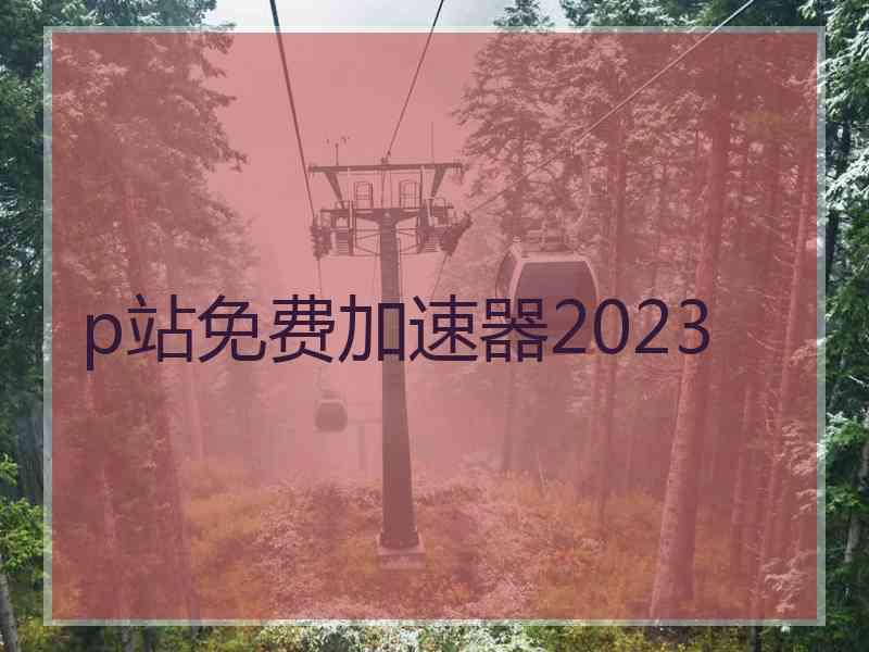 p站免费加速器2023
