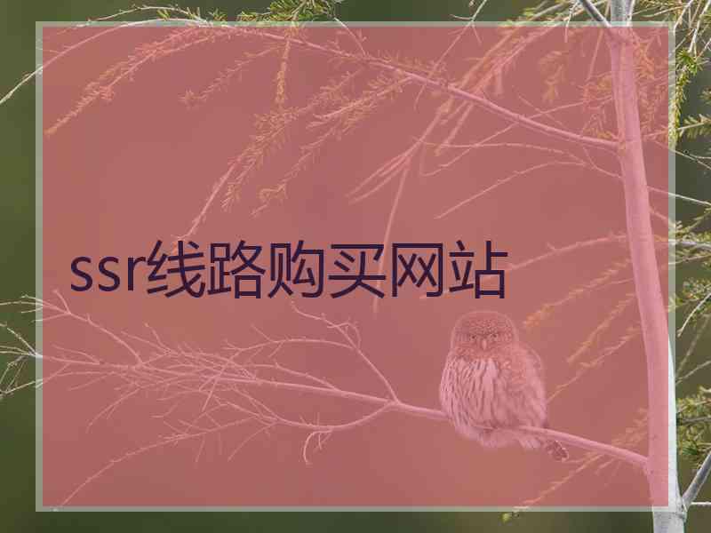 ssr线路购买网站