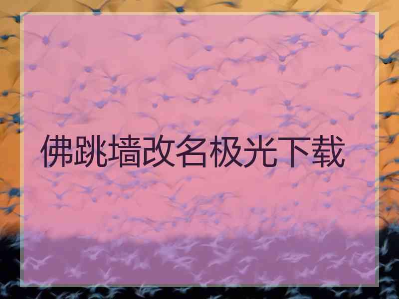 佛跳墙改名极光下载
