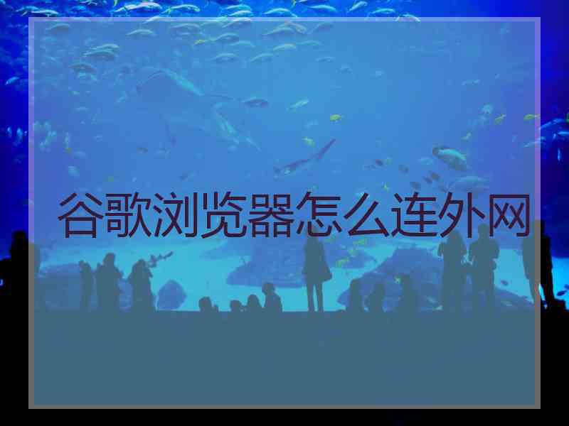 谷歌浏览器怎么连外网