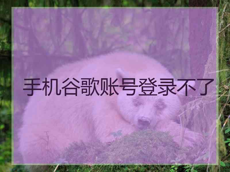 手机谷歌账号登录不了