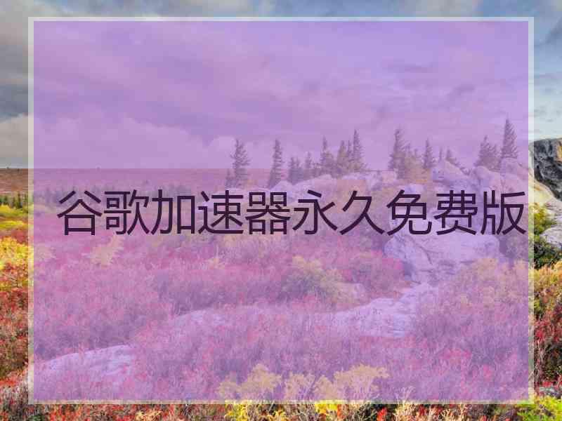 谷歌加速器永久免费版