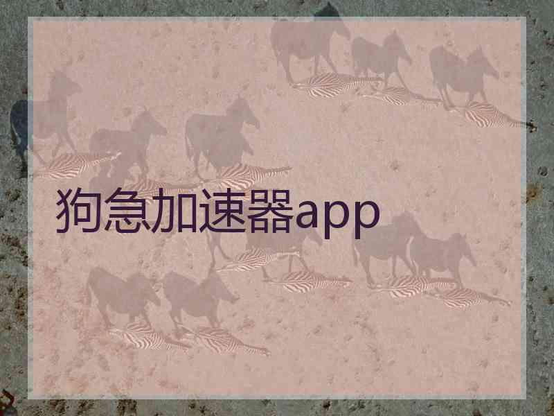 狗急加速器app
