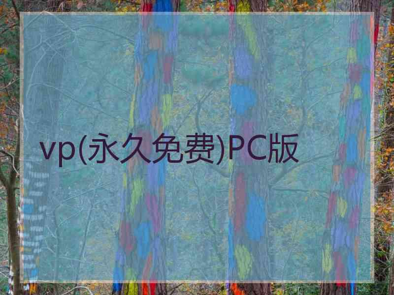 vp(永久免费)PC版