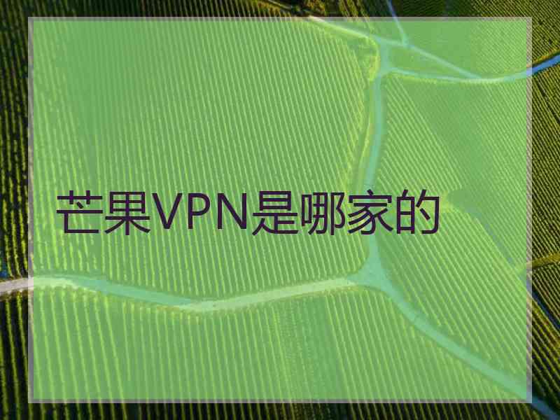 芒果VPN是哪家的